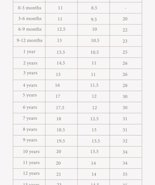 Alternative view of Muhanna vest